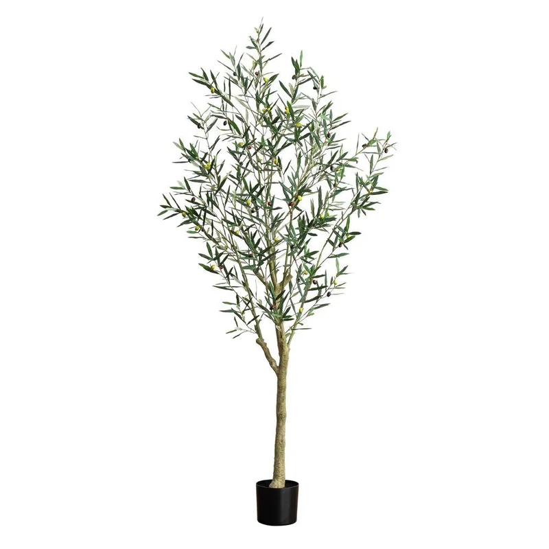 hubert3558204