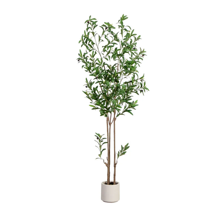 hubert3561349